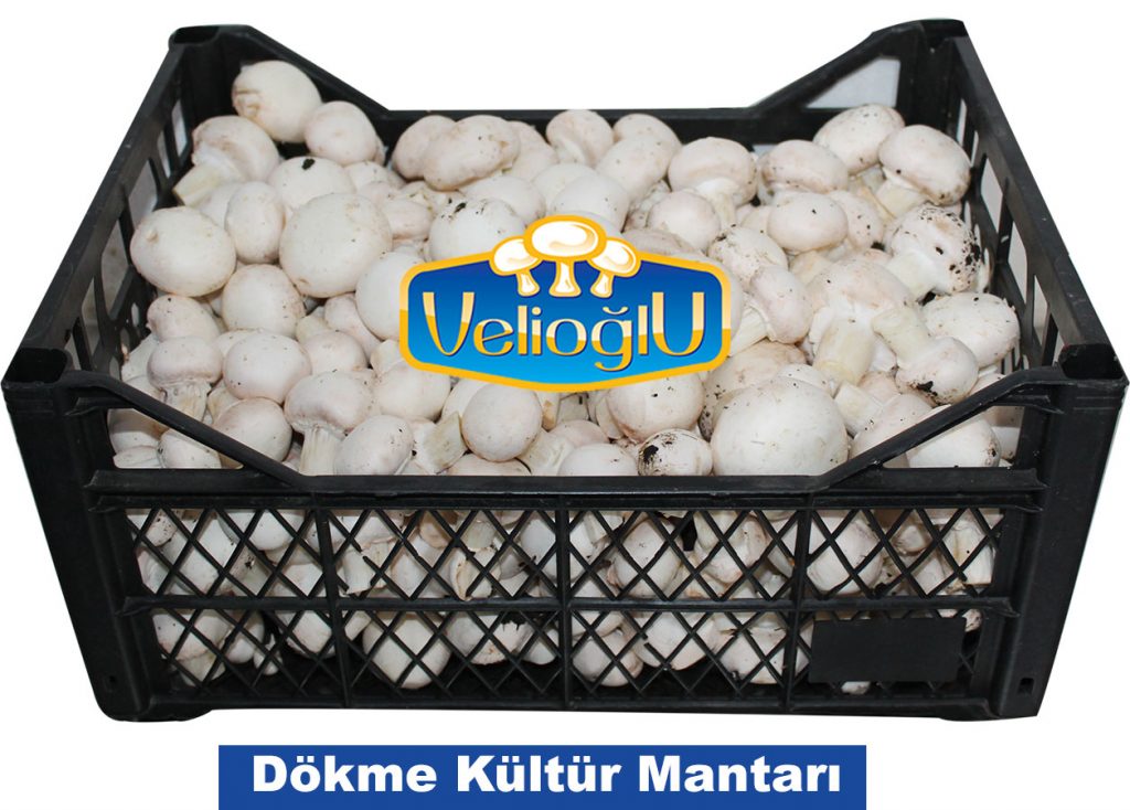 dokme-velioglu-kultur-mantari-saglikli-kaliteli