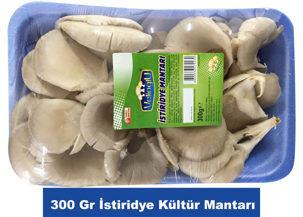 istiridye-paket-300-gr-velioglu-kultur-mantari-saglikli-kaliteli-hijyen